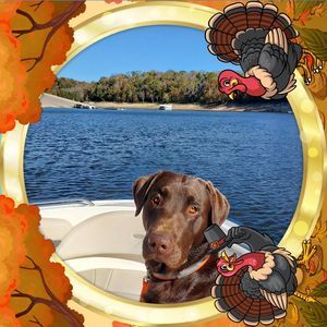 Meet your Posher, Craig